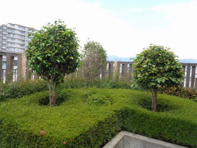 DSC01342